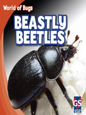 cover image of Beastly Beetles